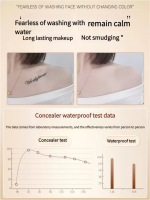 Concealer, a powerful tattoo cover-up tool, effectively conceals scars and invisible patches, specifically designed for flesh-colored spots and acne marks - Image 3