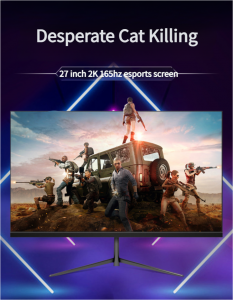 Computer display screen